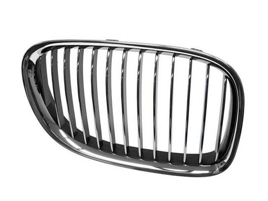 BMW Kidney Grille - Passenger Side 51117184152